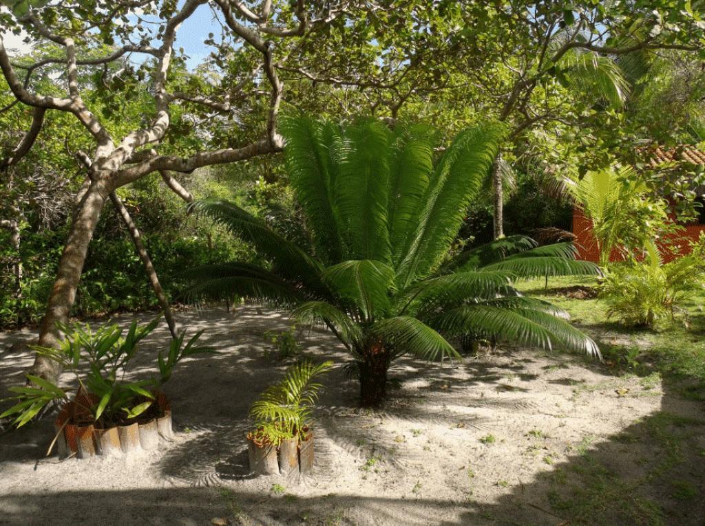 Pousada Quartinho De Praia Boipeba Island Exterior foto